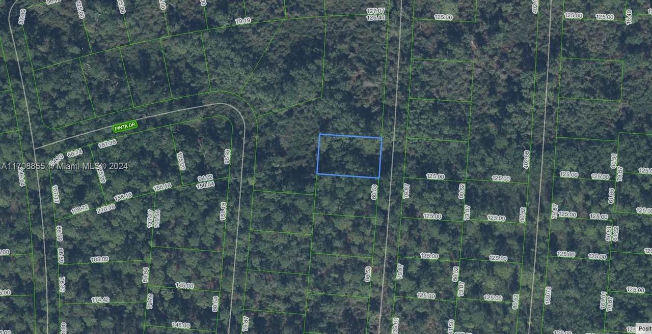 6643 Persis Dr. - Photo 1
