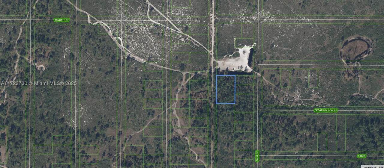 881 Papaya Street - Photo 1