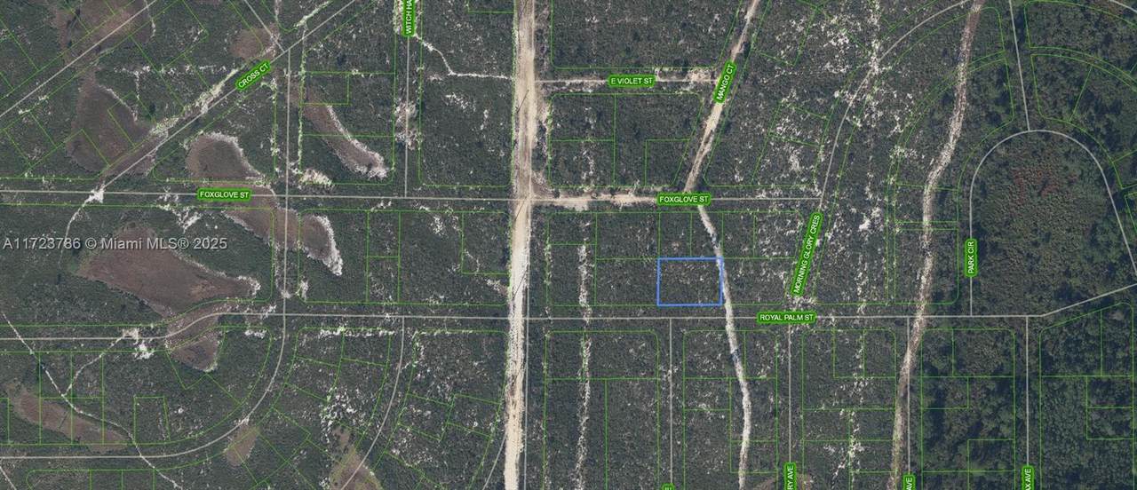 6033 Royal Palm Street - Photo 1