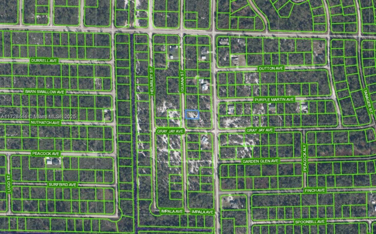 1045 Iguana - Photo 1