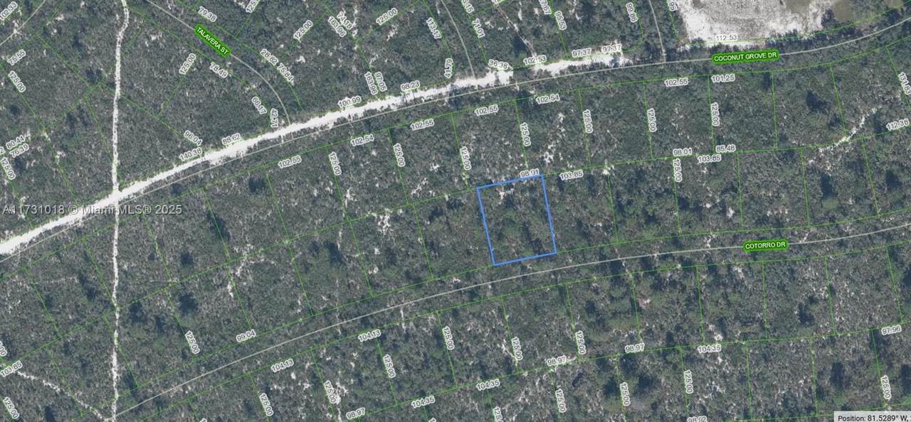 6456 Cotorro Drive - Photo 1