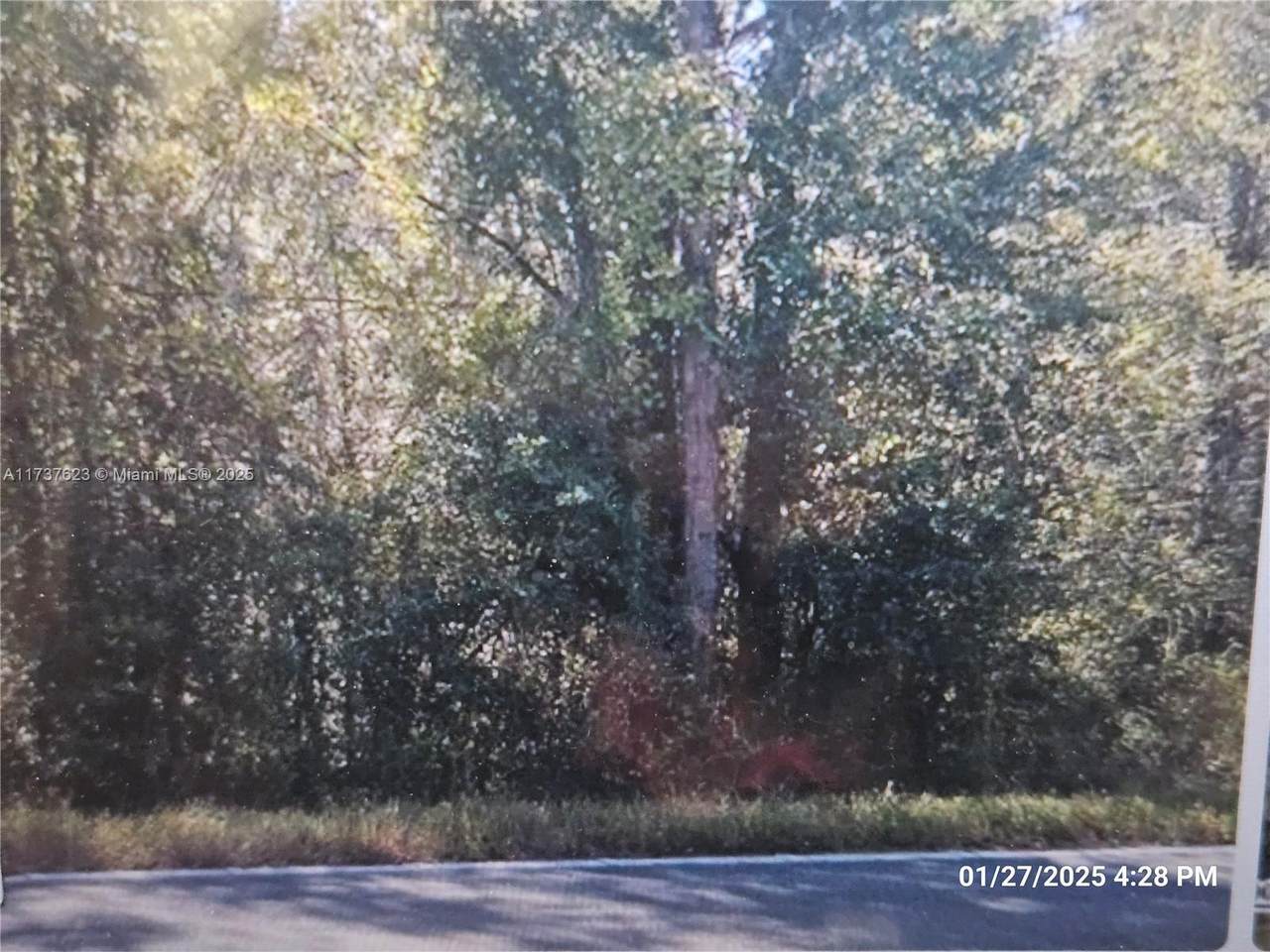 1142 County Rd 20A - Photo 1
