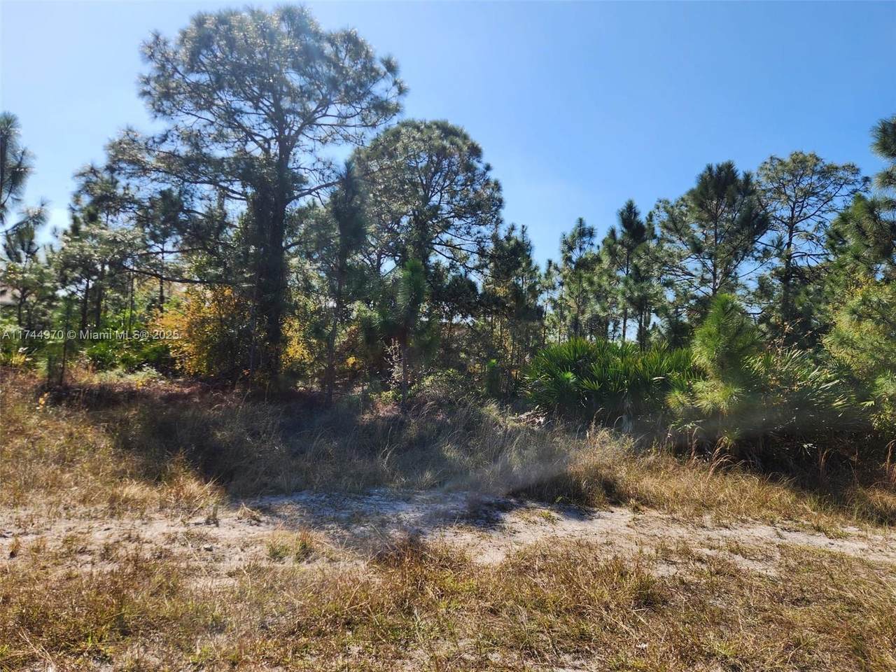 2719 50 W - Photo 1