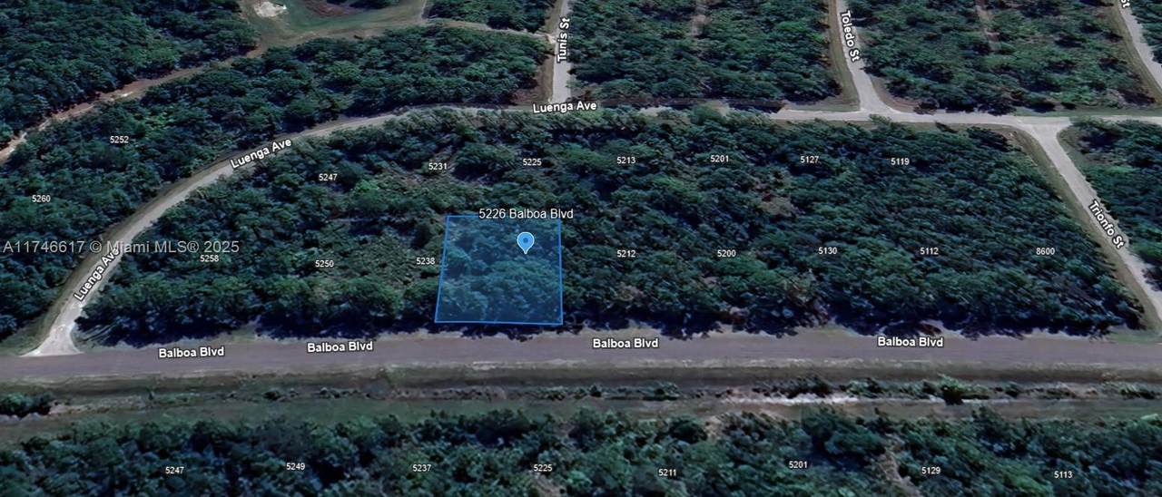 5226 Balboa Boulevard - Photo 1
