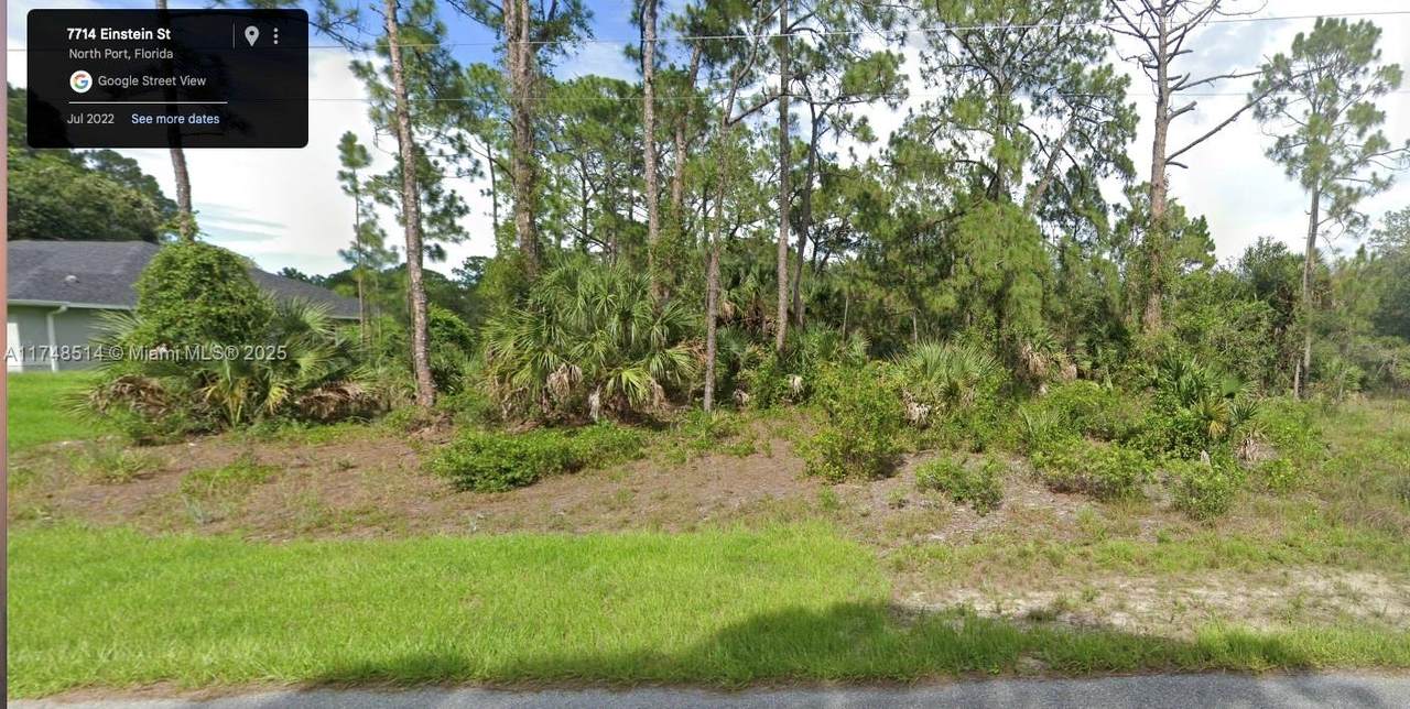 EINSTEIN Einstein St - Photo 1