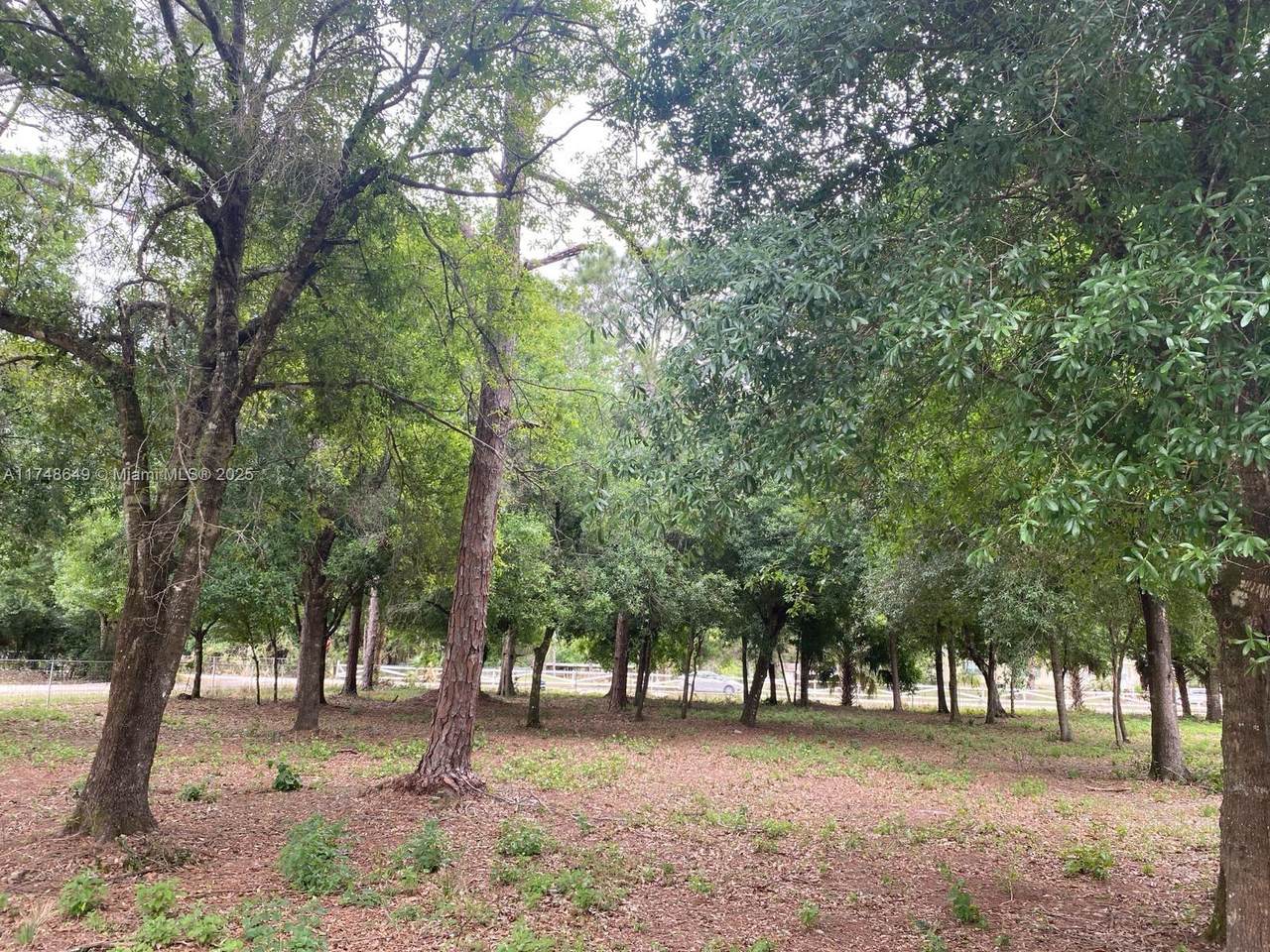 4320 Hendry Isles Blvd - Photo 1