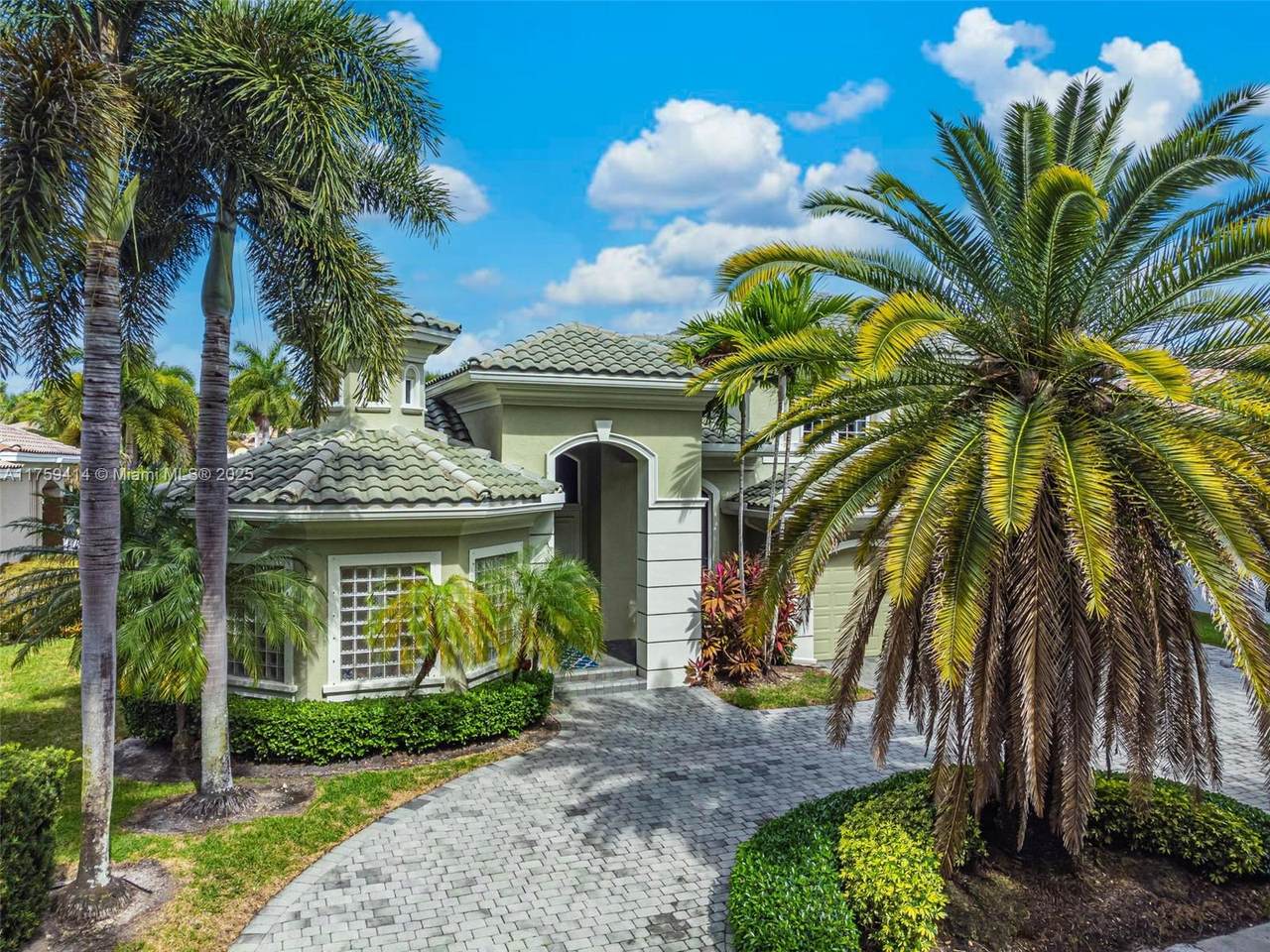 10221 Blue Palm St - Photo 1