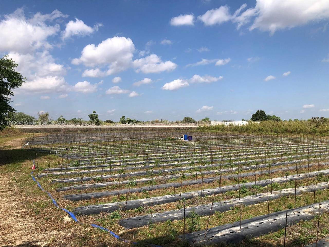 19550 207 Ave - Photo 1