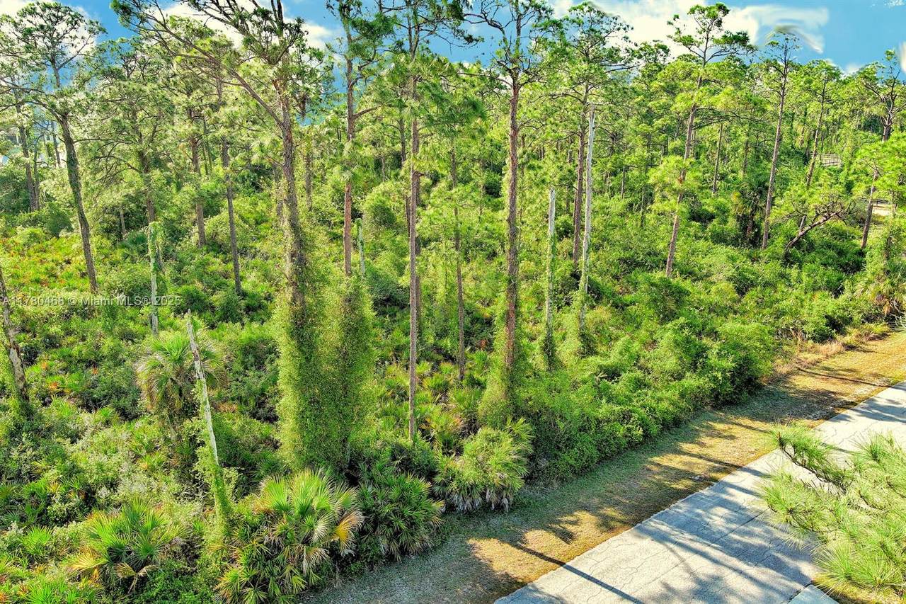 https://bt-photos.global.ssl.fastly.net/miami/1280_boomver_1_A11780468-2.jpg
