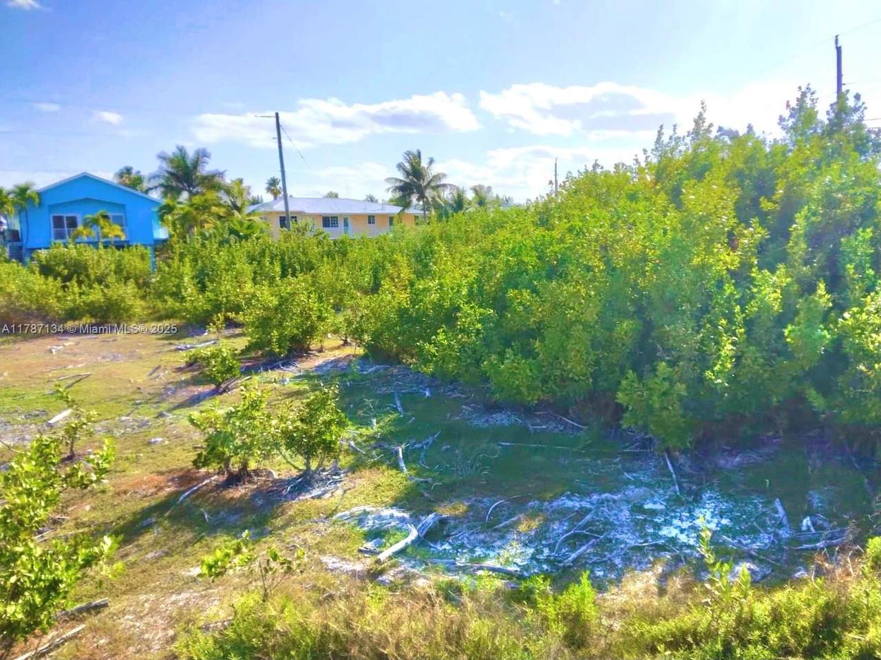 https://bt-photos.global.ssl.fastly.net/miami/orig_boomver_1_A11787134-2.jpg