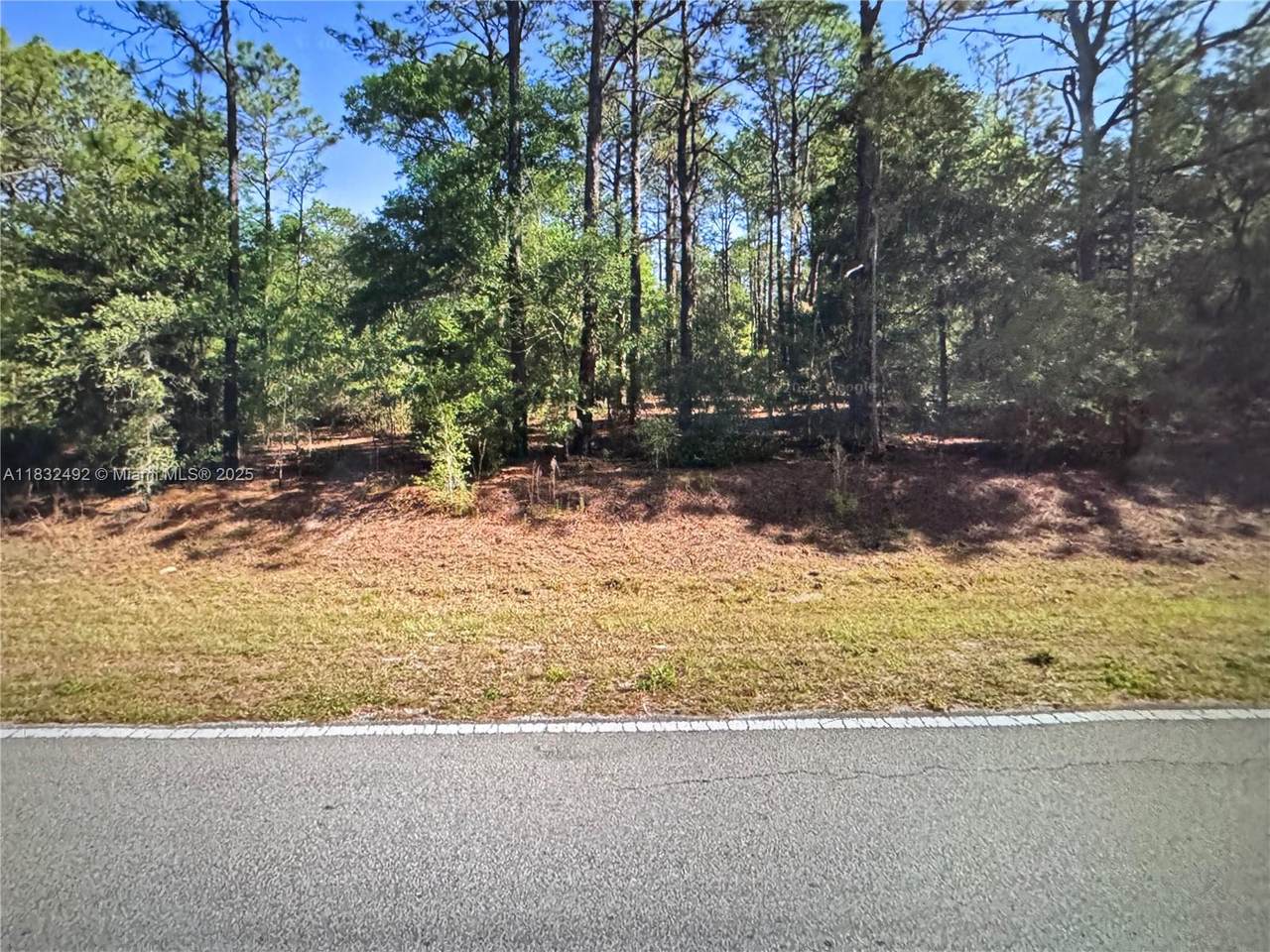 Dunnellon Undermined - Photo 1