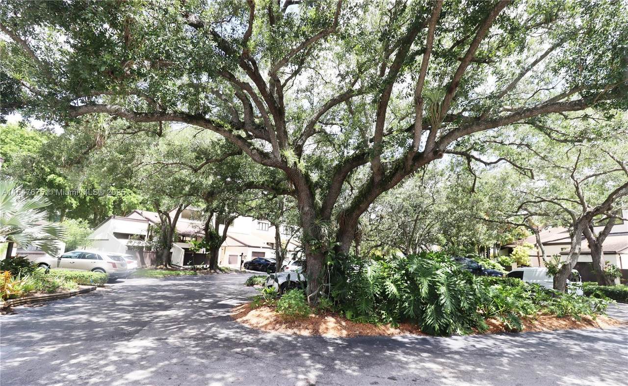 https://bt-photos.global.ssl.fastly.net/miami/1280_boomver_1_A11847675-2.jpg