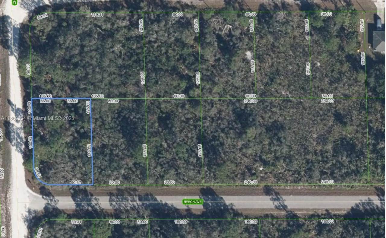 3031 Beech Avenue - Photo 1