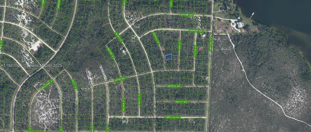 729 Suffolk Street - Photo 1