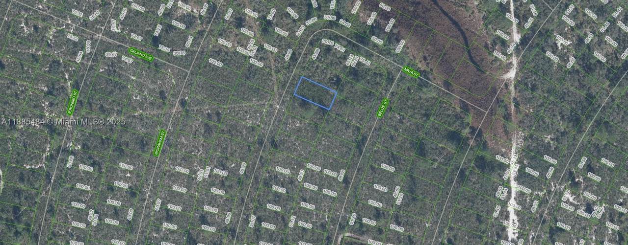 4725 Maya St - Photo 1