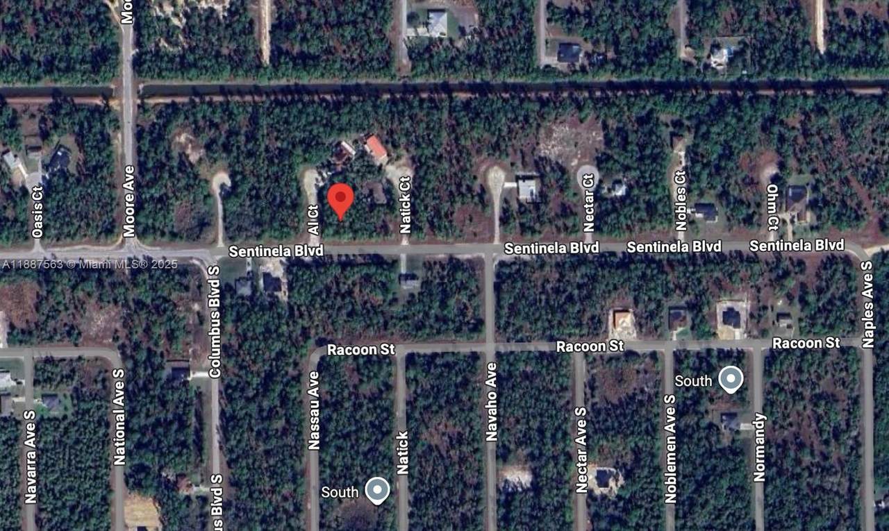 107 Opal Ct - Photo 1