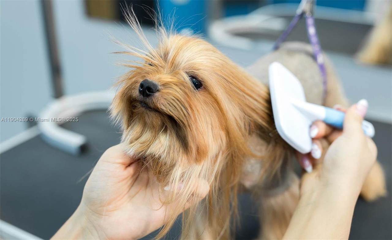  Pet Grooming - Photo 1