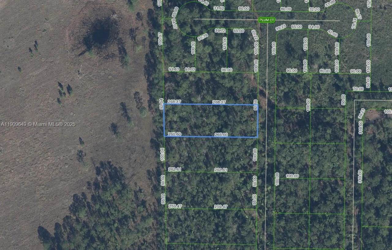 4705 Rhubarb Street - Photo 1