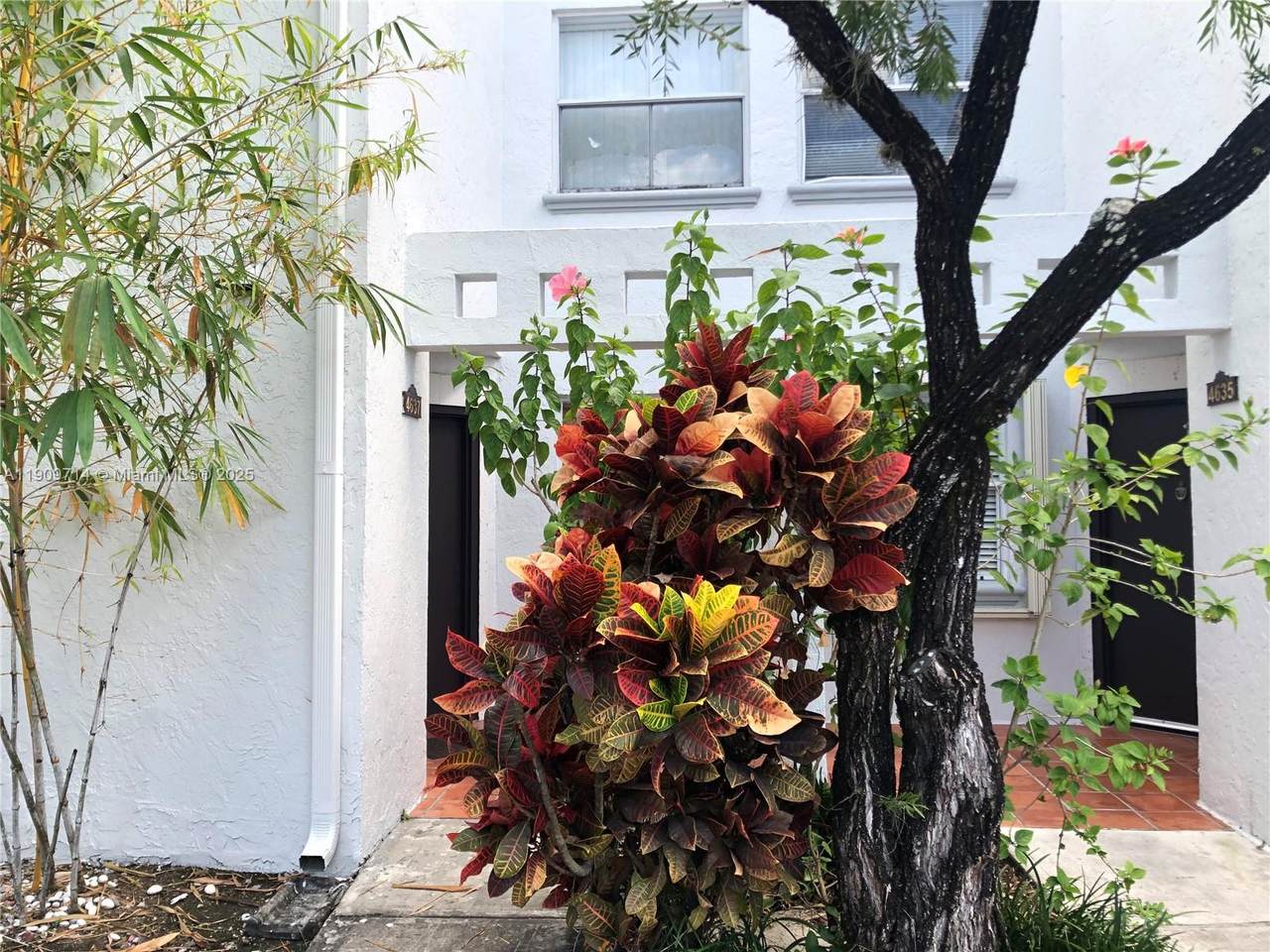 4637 97th Ct - Photo 1