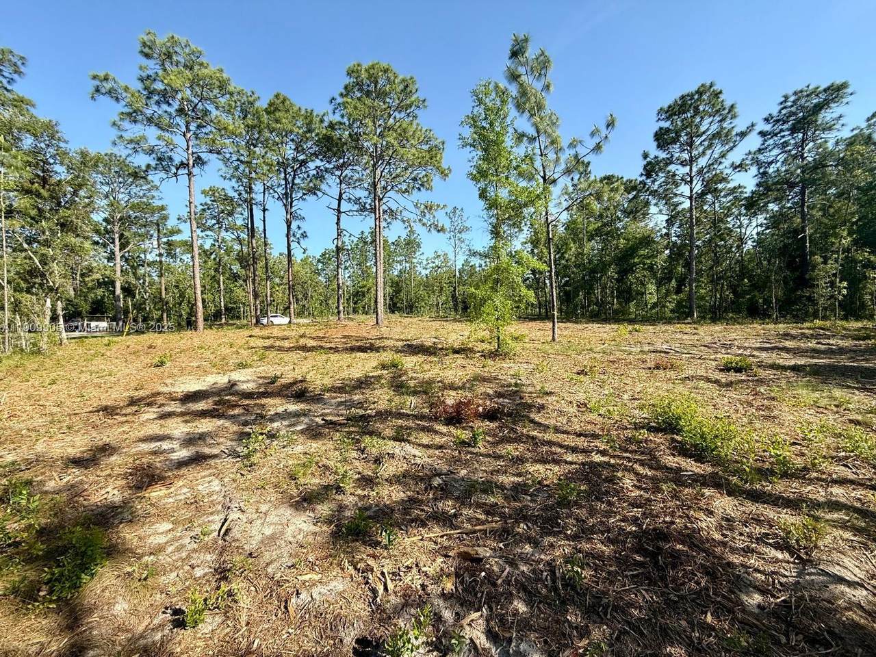 0 157th Ave - Photo 1