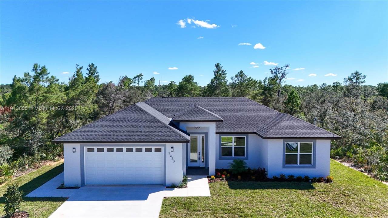 7433 Domenico St - Photo 1