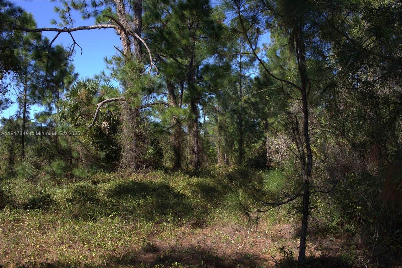 https://bt-photos.global.ssl.fastly.net/miami/1280_boomver_1_A11917348-2.jpg