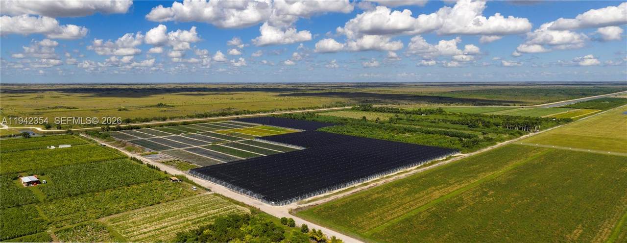  75 Acres Of Improved Agricultural Land For Sale - Photo 1