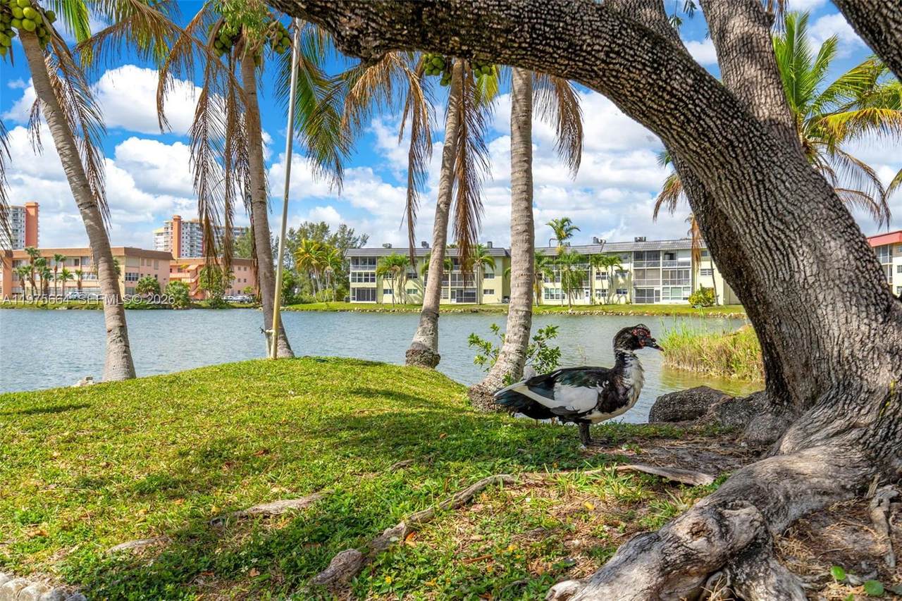 https://bt-photos.global.ssl.fastly.net/miami/1280_boomver_1_A11975664-2.jpg