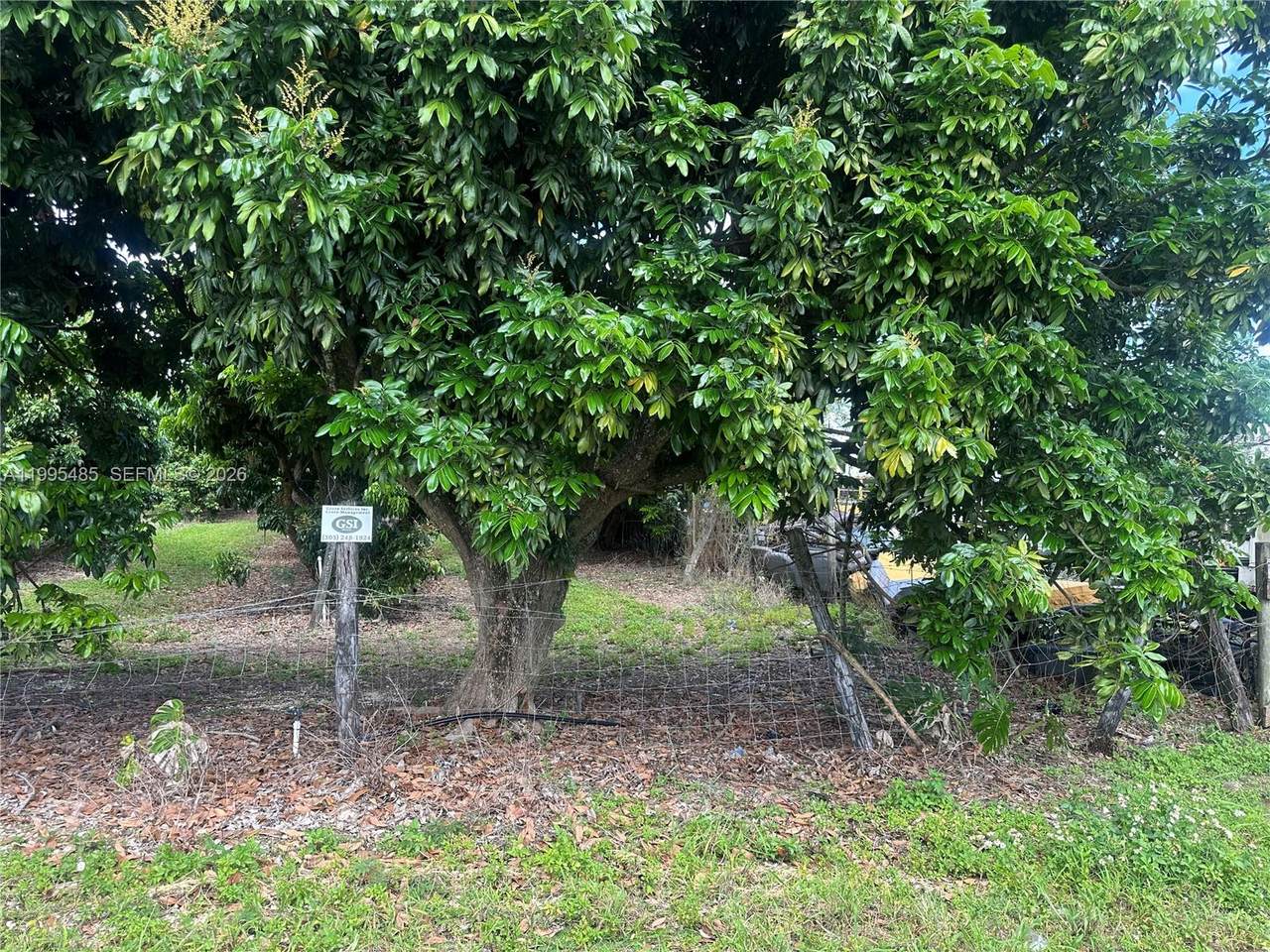 https://bt-photos.global.ssl.fastly.net/miami/1280_boomver_1_A11995485-2.jpg