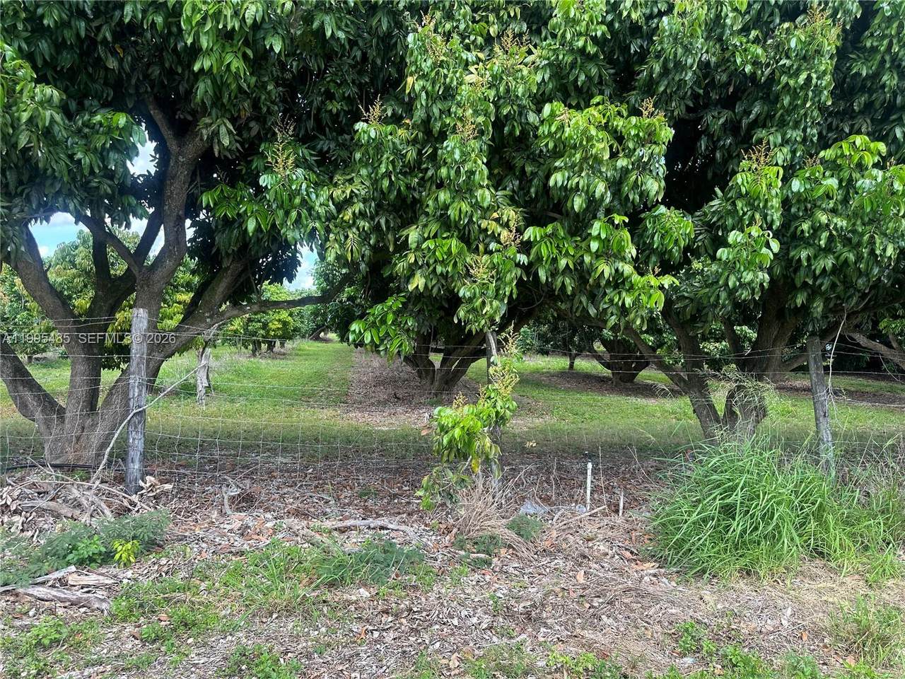 https://bt-photos.global.ssl.fastly.net/miami/1280_boomver_1_A11995485-2.jpg