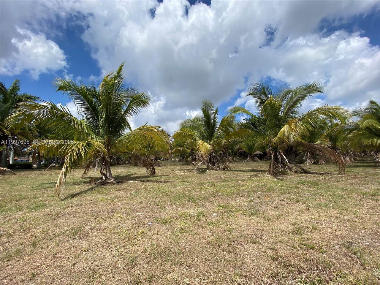 https://bt-photos.global.ssl.fastly.net/miami/1280_boomver_1_A11997695-2.jpg
