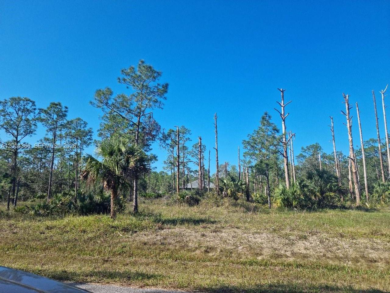 https://bt-photos.global.ssl.fastly.net/miami/1280_boomver_1_A12004386-2.jpg
