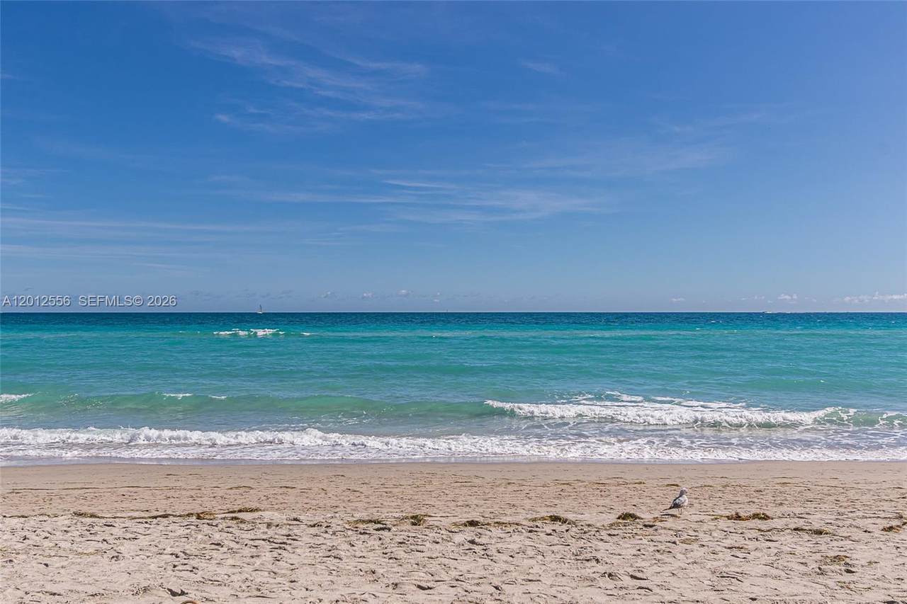 https://bt-photos.global.ssl.fastly.net/miami/1280_boomver_1_A12012556-2.jpg