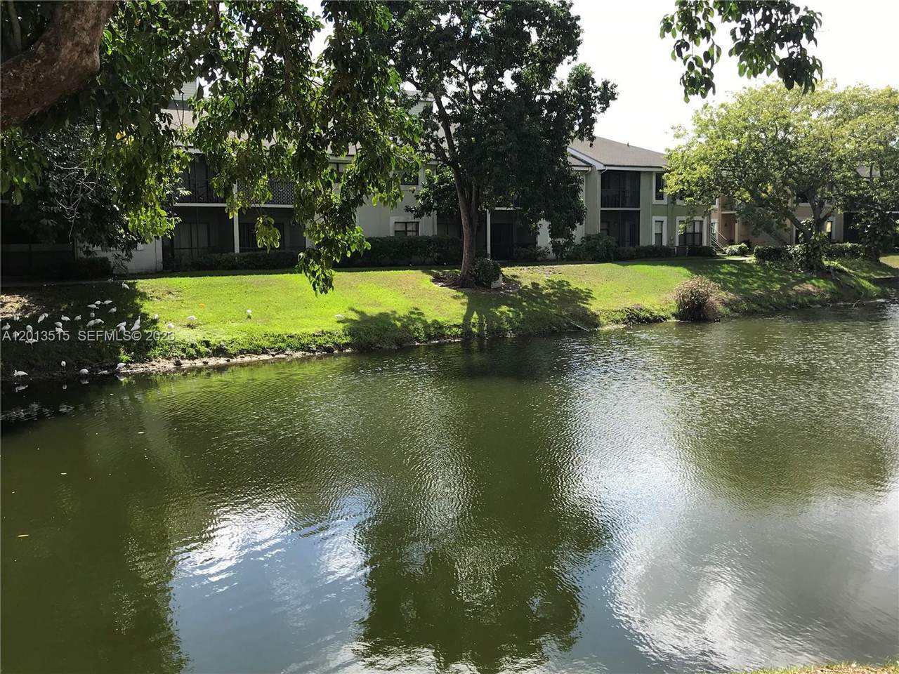 4044 87th Ave - Photo 1