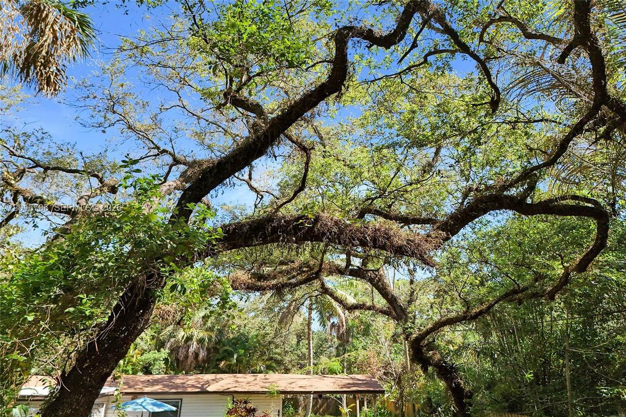 https://bt-photos.global.ssl.fastly.net/miami/1280_boomver_1_A12016706-2.jpg