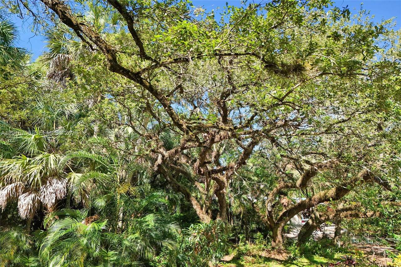 https://bt-photos.global.ssl.fastly.net/miami/1280_boomver_1_A12016706-2.jpg