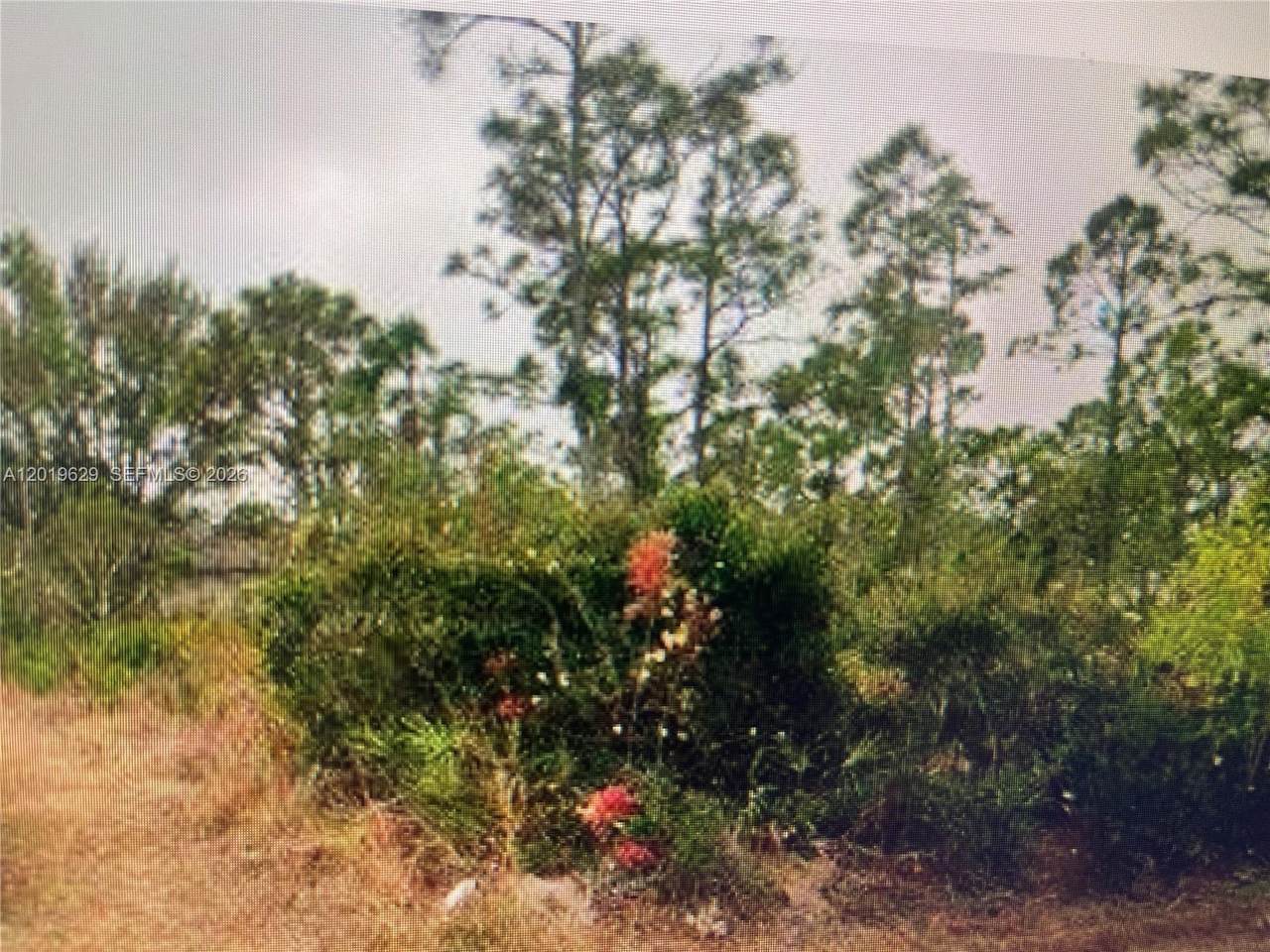 27183 Twin Lakes Dr - Photo 1