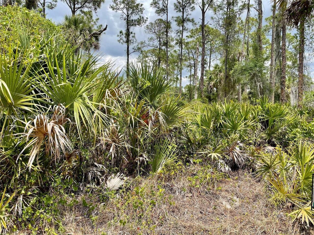 https://bt-photos.global.ssl.fastly.net/miami/1280_boomver_1_A12023258-2.jpg