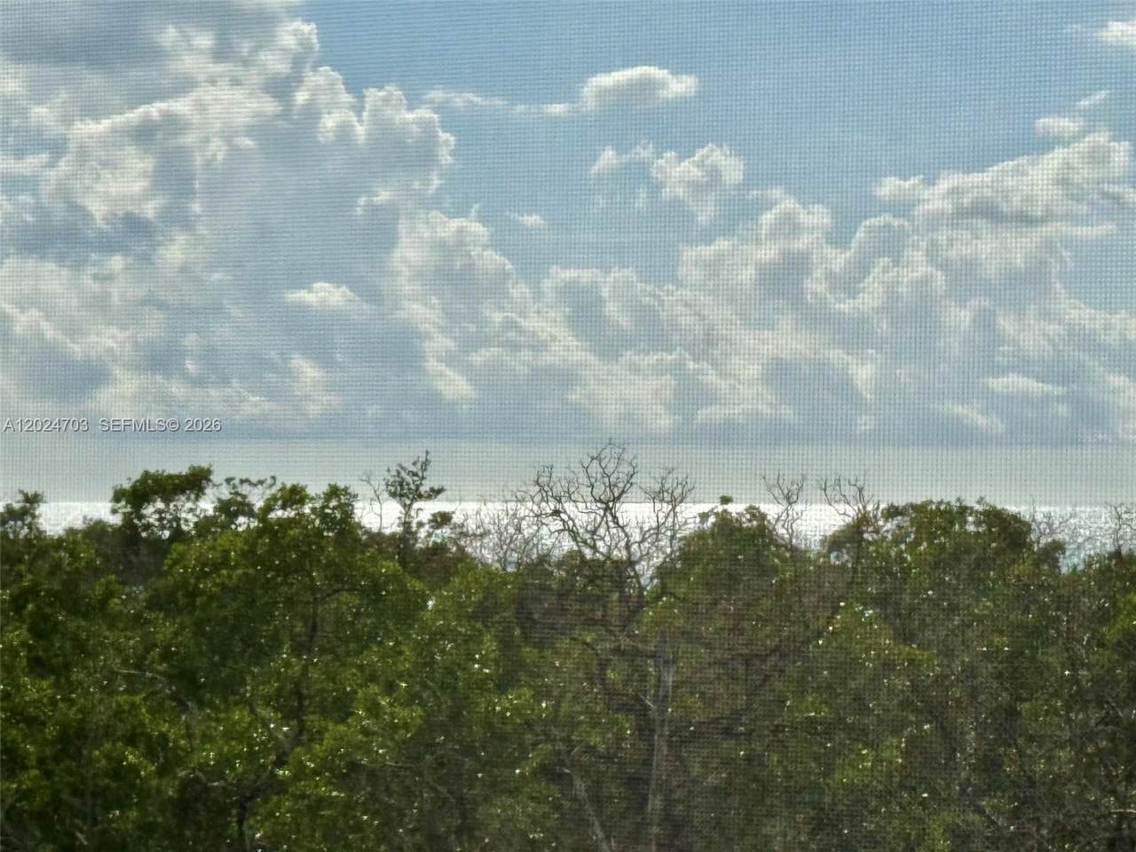 5 Bluebill - Photo 1