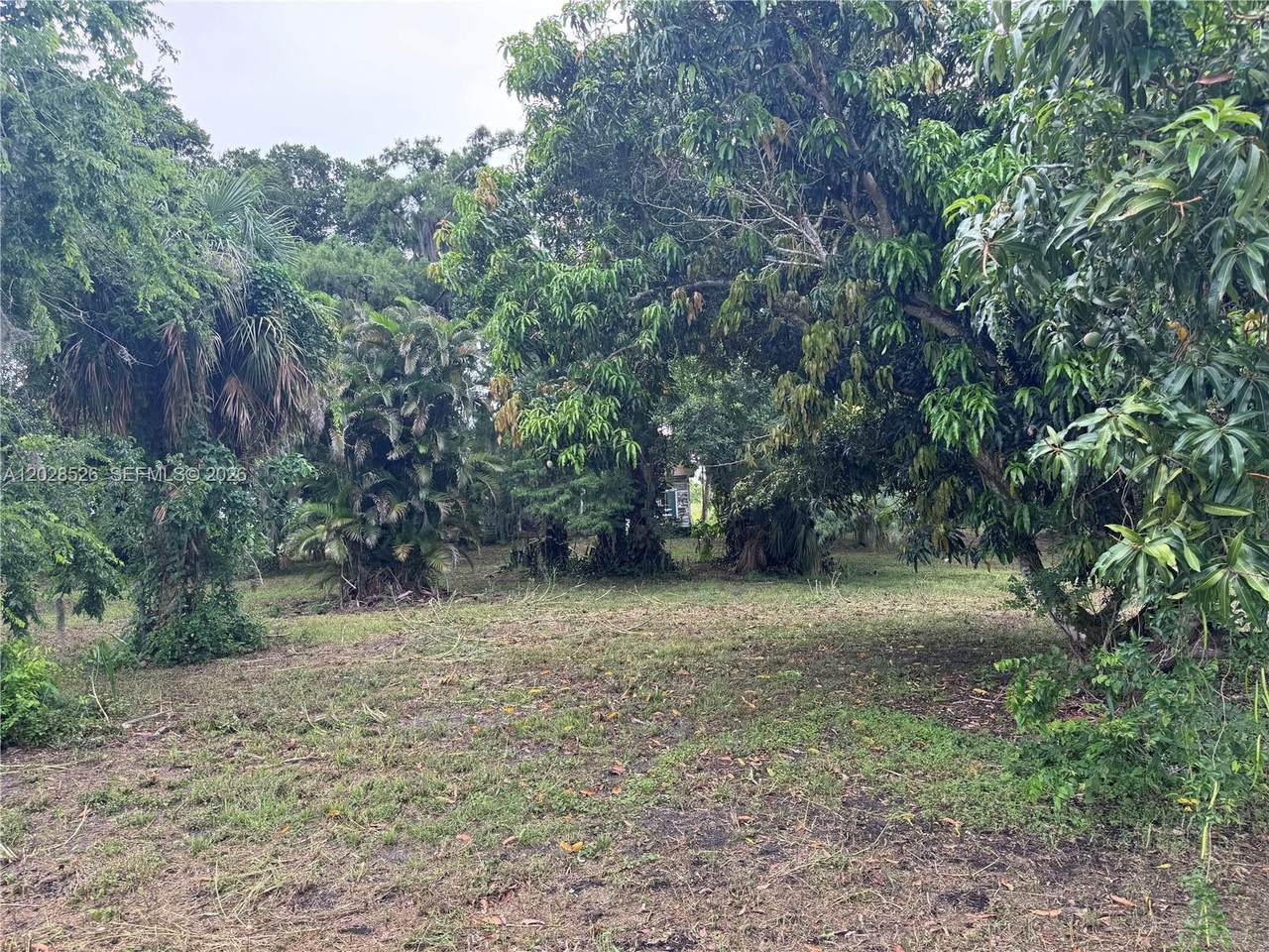 https://bt-photos.global.ssl.fastly.net/miami/orig_boomver_1_A12028526-2.jpg