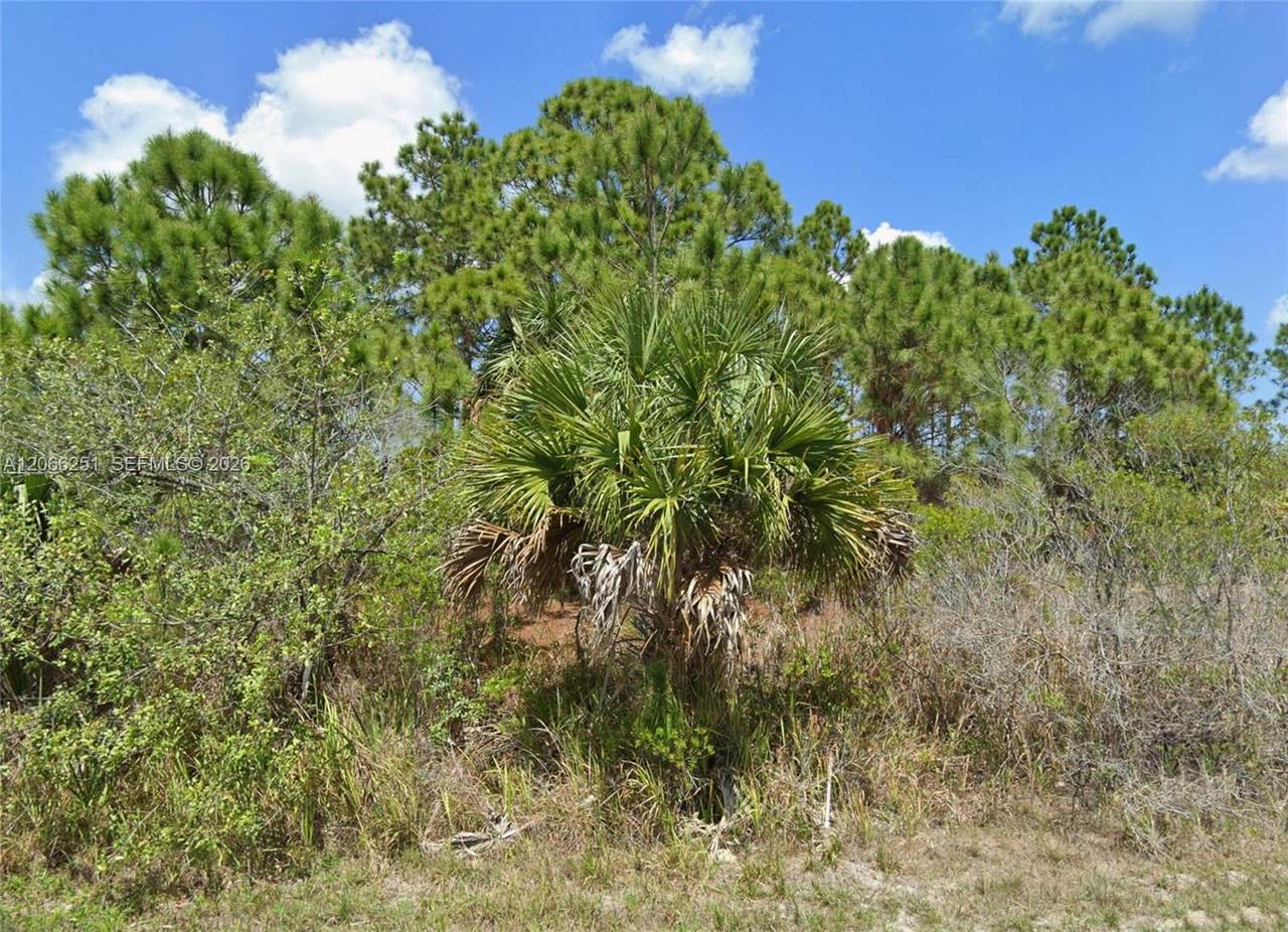 https://bt-photos.global.ssl.fastly.net/miami/1280_boomver_1_A12066251-2.jpg
