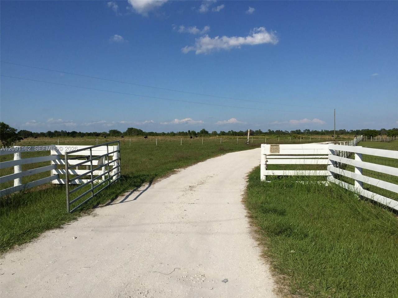 315 Detjens Dairy Rd - Photo 1