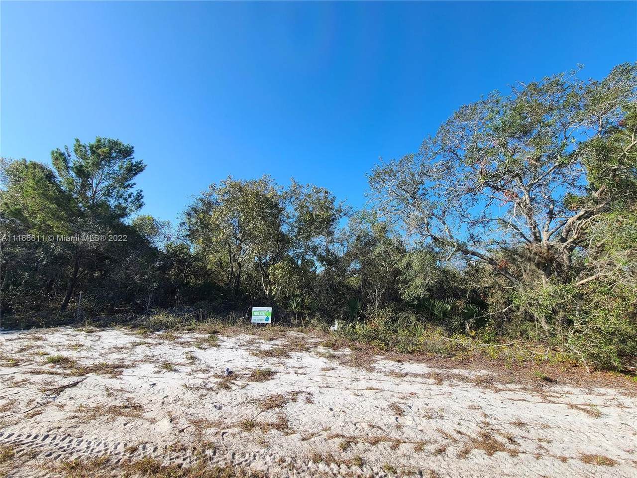 801 County Road 29 - Photo 1