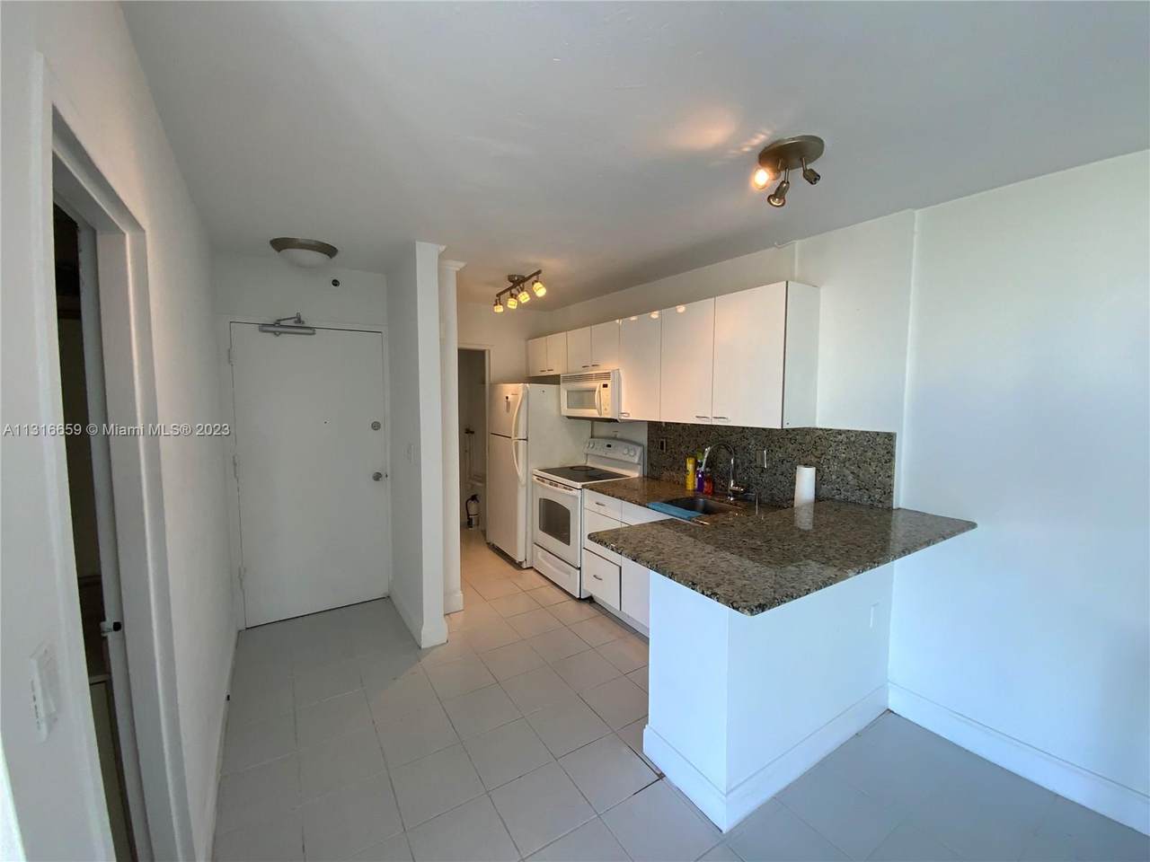 1255 Collins Ave - Photo 1