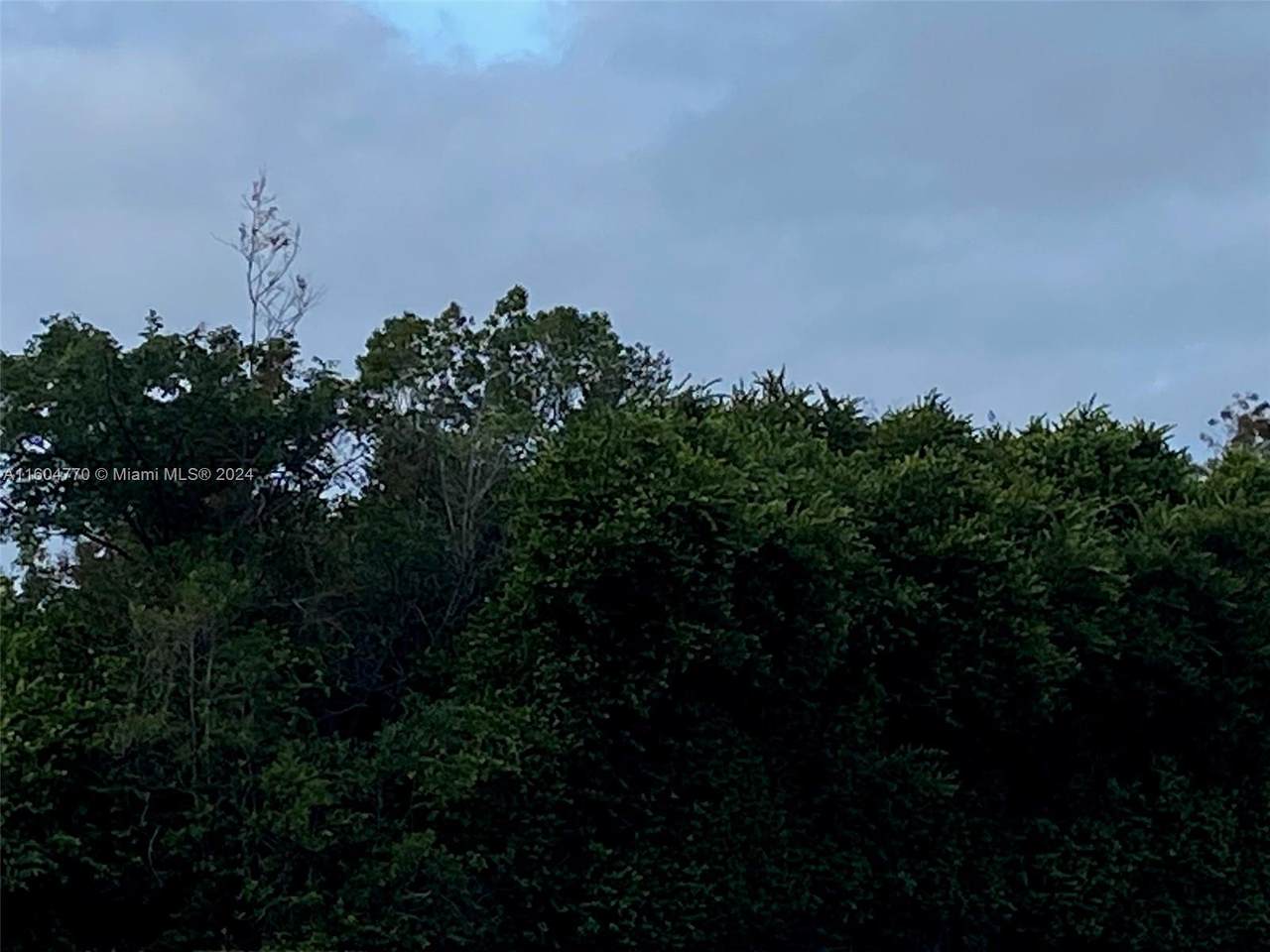 751 Puccini Avenue S - Photo 1