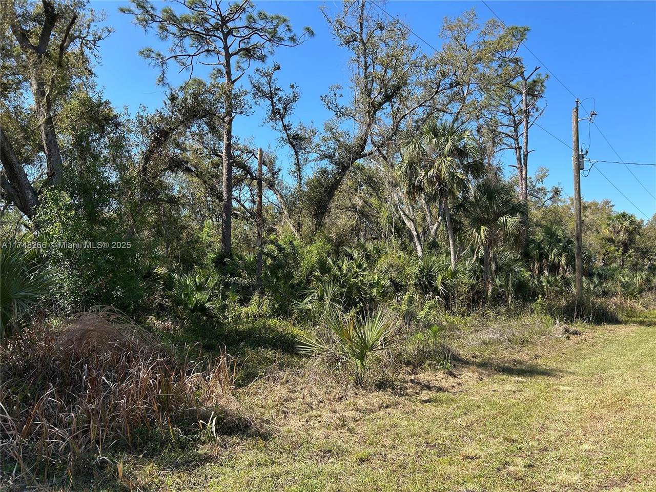 13397 Leatherbury Ave - Photo 1