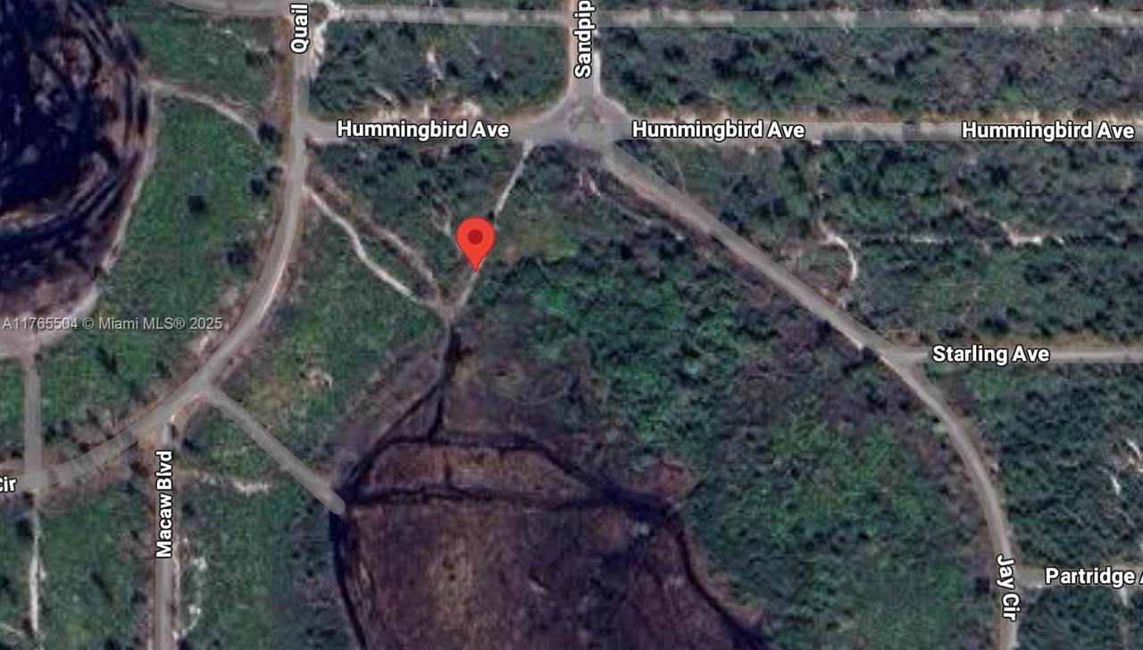 705 Hummingbird Ave - Photo 1