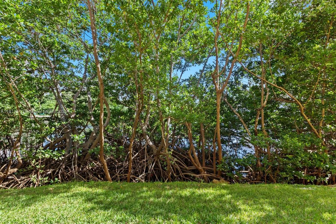 https://bt-photos.global.ssl.fastly.net/miami/1280_boomver_2_A11812310-2.jpg