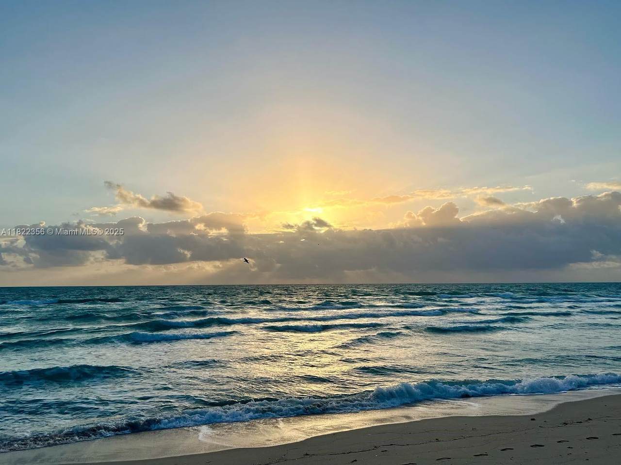 6917 Collins Ave - Photo 1