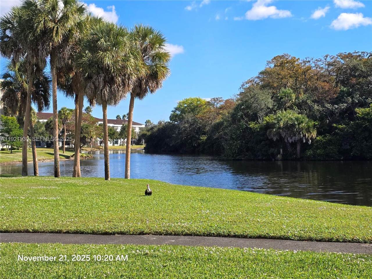 2900 42nd Ave - Photo 1